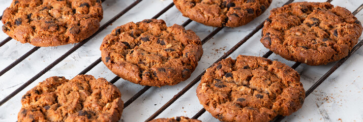 Oatmeal cookies with chocolate chips on a light background. Breakfast concept.
