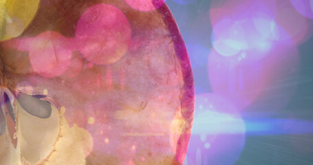 Image of light spots over apple