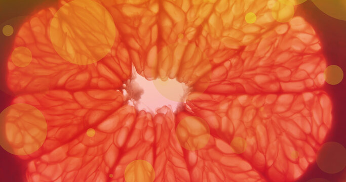 Image of orange spots over orange