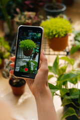 Close-up vertical shot of unrecognizable female blogger taking pictures of plants in floral shop using smartphone camera. Woman taking photos or video of beautiful green houseplants in pots.