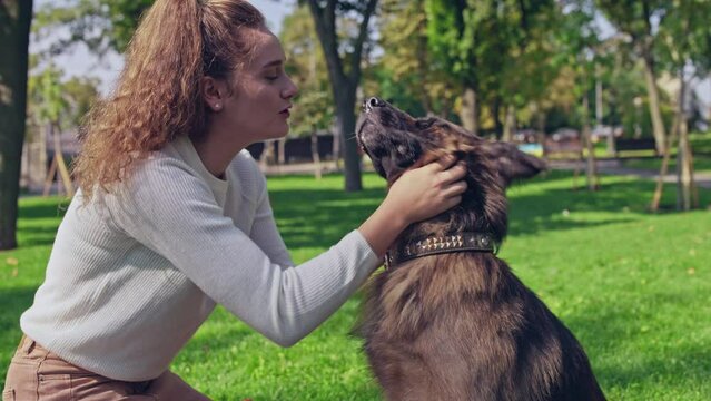 Young woman having fun, scratching and petting her large cute dog, friendship