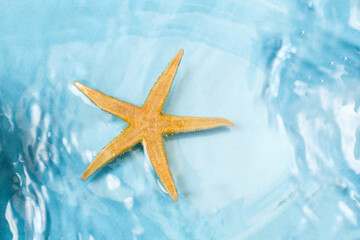 Fototapeta na wymiar Estrella de mar flotando sobre el agua. Vista superior y de cerca. Copy space. Concepto: Viaje, vacaciones