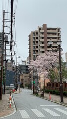 city street scene