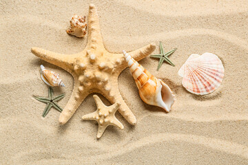Starfishes and different sea shells on beach sand