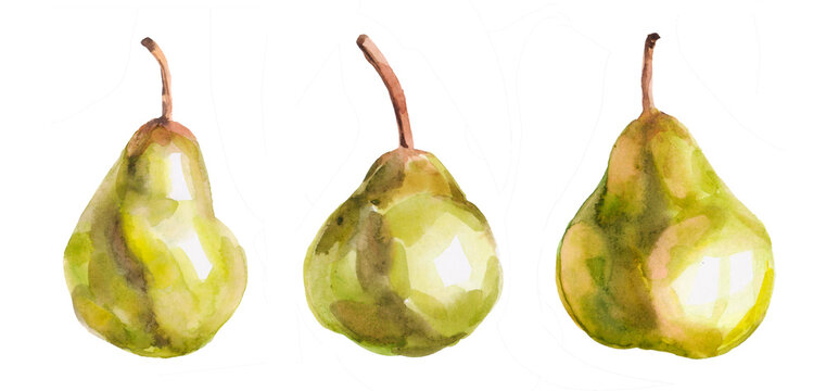 Pears illustration isolated. Green pear on white background. Pear with clipping path. Set of pears.