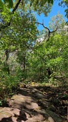Waterfalls and landscapes in Pirenópolis