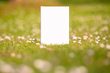Book with a blank cover seen from above on a lawn with daisies.