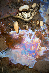 Some Kind of Chemical Soil and Water Contamination