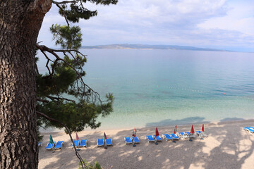 Picturesque pebble beach in the shade of green pine trees with sunbeds and umbrellas on the coast of Croatia