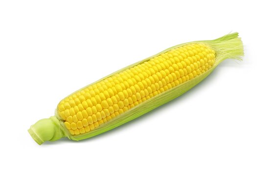 とうもろこしイラスト の画像 21 670 件の Stock 写真 ベクターおよびビデオ Adobe Stock