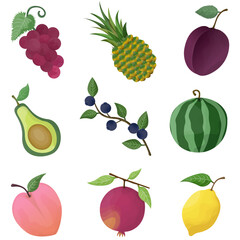 Collection of exotic tropical fruits set vector.