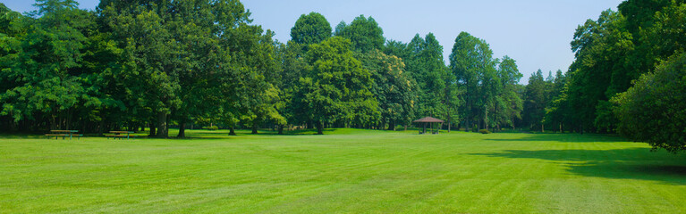 Fototapeta na wymiar banner image of green park