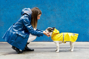 Side view of woman and dog with yellow raincoat. Horizontal view of woman caressing bulldog face isolated on blue background. People and animals concept.