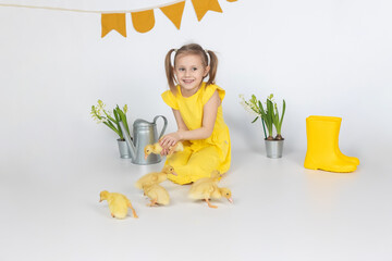 happy little girl with of small ducklings on a white background in the studio