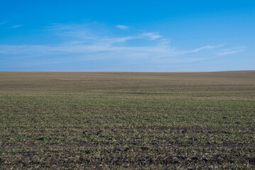 Ploughed field and blue sky as background.