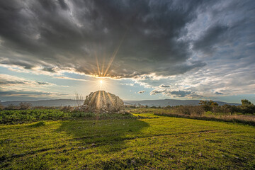 Fototapety na wymiar - Fototapeta24.pl