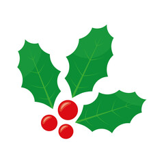 holy berry , christmas decorative plant- vector illustration