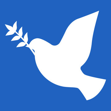 White dove flying on blue sky. Peace bird holding Mira branch.