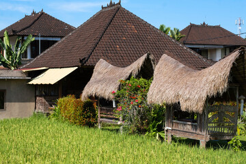 Fototapeta na wymiar Thatched roof huts in field