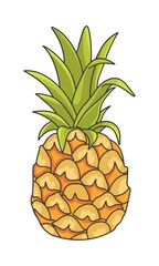 Summer fruits for a healthy lifestyle. Pineapple fruit. Vector illustration cartoon flat icon isolated on white.
