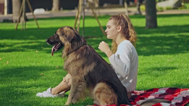 Sad young woman petting her german shepherd dog, sitting on grass in park