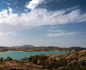 Fotografías de exterior, animales y tartas