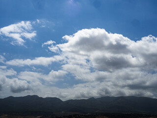 Fotograf&iacute;as de exterior, animales y tartas
