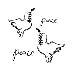 Peace doves with olive branch icon illustration in hand drawn style. Symbol of peace for posters product
