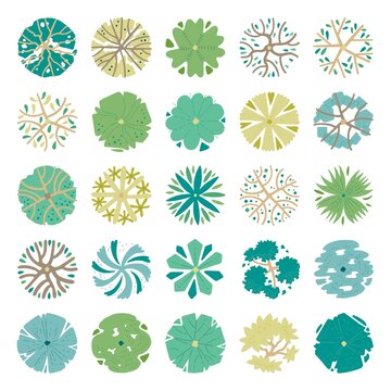 Hand drawn vector set of top view trees.