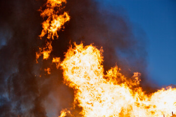 Raging flames of huge fire at night. Firestorm close up. Burning fire full frame. Bright inferno...