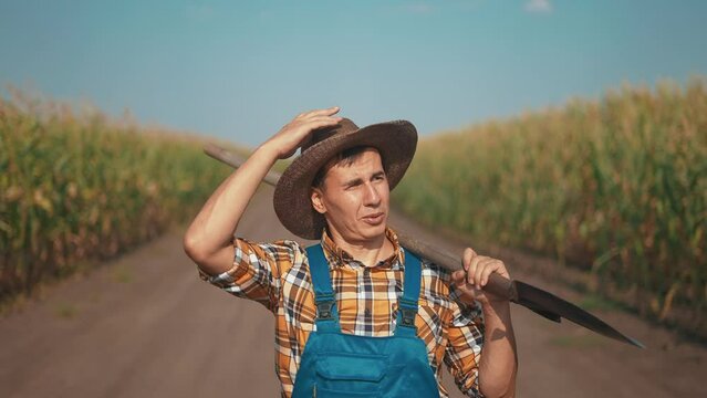 Farmer In Corn Field. A Man Worker With A Shovel Walks Along The Road Between Rows Of Corn Sunset. Agriculture Maize Concept. Farmer In Hat Portrait Works In The Field. Agriculture Agronomy In Corn