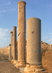 Ancient Roman Pillars