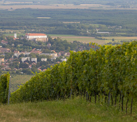 Fototapeta na wymiar Siklos castle in Villany region with vineyards, Southern Hungary