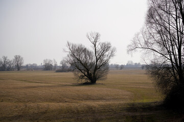 misty morning in the morning