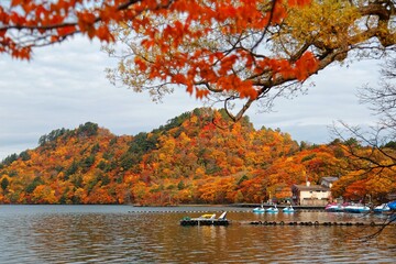 Beautiful scenery of lakeside mountains covered with colorful Japanese maple trees and sightseeing...