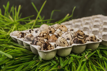 Quail eggs in cardboard packaging in green grass. Healthy fresh food from store. Ingredient for dietary nutrition. Raising chicks on farm