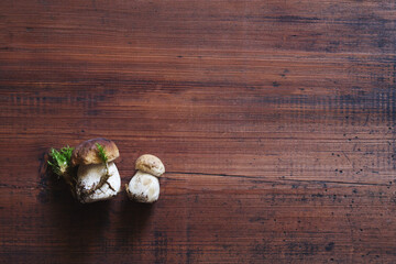 Fresh forest porcini mushrooms on a wooden old board, top view, copy space