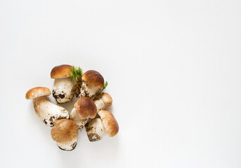Bunch of fresh forest porcini mushrooms on a white surface close up, soft focus, top view, copy space