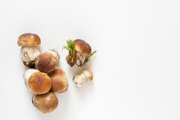 Bunch of fresh forest porcini mushrooms on a white surface close up, soft focus, top view, copy space