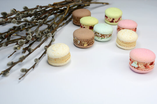 Multicolored bright macarons and pussy willow