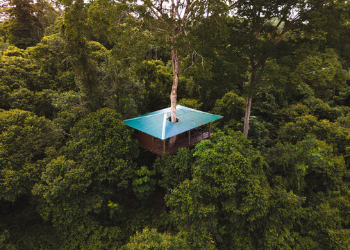 Beautiful High Angle View Of A Treehouse In A Green Dense Forest