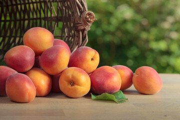 Basket with ripe apricots.