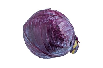 Purple or red cabbage isolated on white background,top view