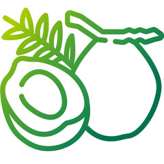 coconut gradient icon