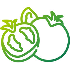 Tomato gradient icon