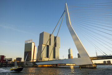 Scenic view of the Erasmusbrug bridge in Rotterdam, the Netherlands on a blue sky background