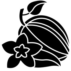 star fruit solid icon