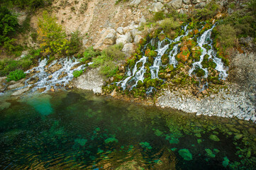 Beautiful shot of plants with snow on rocky cliff by green water ion a sunny dat