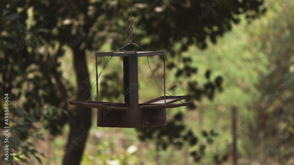 Wall mural selective focus shot of bird's resting hut hanging on a tree in the forest