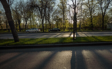 Fototapeta na wymiar The green lawn space on the street between traffic lanes in sunset light. City landscaping ideas.
